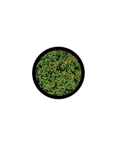 Effects Glass Gobo #86735 - Microscopic - Size B (86mm)