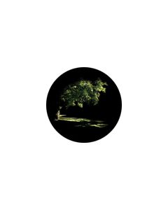 Effects Glass Gobo #86704 - Summer Glade - Size B (86mm)