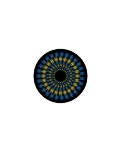 Effects Glass Gobo #86651 - Flower Focus - Size B (86mm)