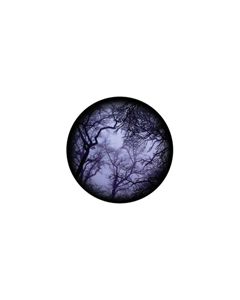 Effects Glass Gobo #86712 - Cloud Branches - Size B (86mm)