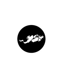 Standard Steel Gobo #77553 - Ghost 3 - Size B (86mm)