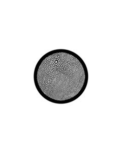 Effects Glass Gobo #81127 - Snakeskin - Size B (86mm)