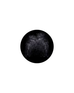 Effects Glass Gobo #86698 - Winter Arbor - Size B (86mm)