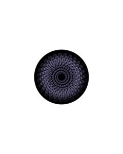 Effects Glass Gobo #86652 - Peacock Sprocket - Size B (86mm)