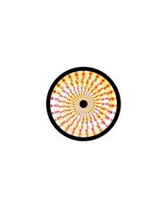 Effects Glass Gobo #86645 - Pressed Petals - Size B (86mm)