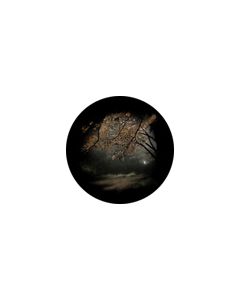Effects Glass Gobo #86703 - Autumn Glade - Size B (86mm)