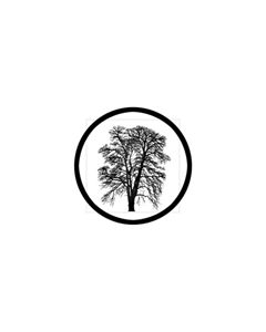 Effects Glass Gobo #81178 - Barren - Size B (86mm)