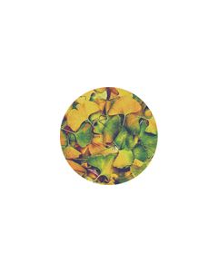 Effects Glass Gobo #86635 - Ginko - Size B (86mm)