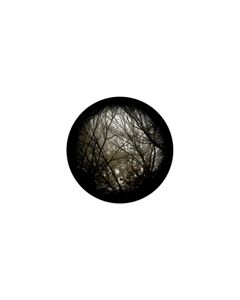 Effects Glass Gobo #86702 - Autumn Branches - Size B (86mm)