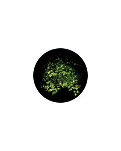 Effects Glass Gobo #86705 - Spring Bower - Size B (86mm)