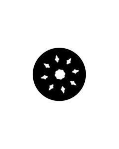 Standard Steel Gobo #77539 - Rose (b) - Size B (86mm)