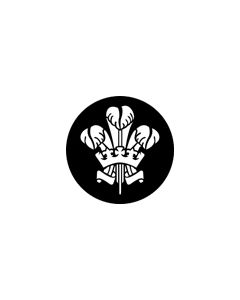 Standard Steel Gobo #77670 - Feathers - Size A 100mm)