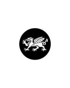 Standard Steel Gobo #77671 - Dragon - Size A 100mm)
