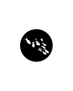 Standard Steel Gobo #77559 - Fishes - Size A 100mm)
