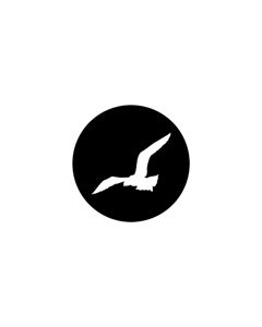 Standard Steel Gobo #78095 - Gull - Size A 100mm)