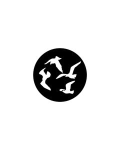 Standard Steel Gobo #78096 - Gulls - Size A 100mm)