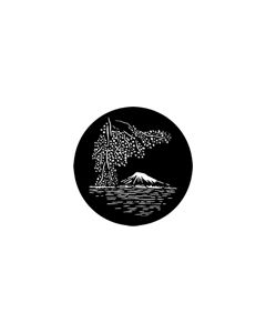 Standard Steel Gobo #77946 - Japan - Size A 100mm)