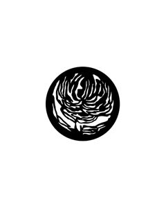 Standard Steel Gobo #77240 - Floral 2 - Size A 100mm)