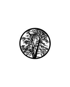 Standard Steel Gobo #78438 - Bare Tree - Size A 100mm)