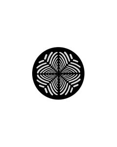 Standard Steel Gobo #77394 - Geometrics 11 - Size M (66mm)