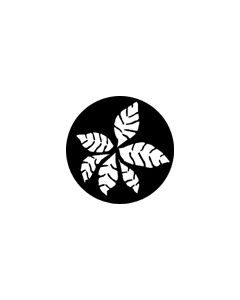 Standard Steel Gobo #78427 - Fronds - Size M (66mm)