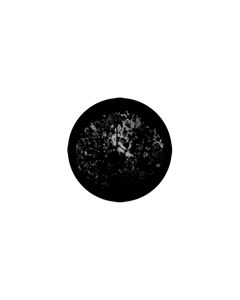 Standard Steel Gobo #77839 - Meshed Saplings - Size M (66mm)