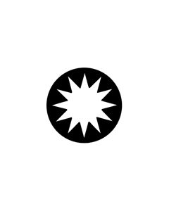 Standard Steel Gobo #77156 - Star A - Size M (66mm)
