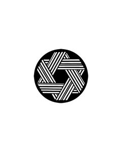 Standard Steel Gobo #77396 - Geometrics 12 - Size E (37.5mm)
