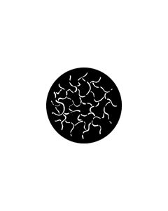 Standard Steel Gobo #78252 - Squirms - Size E (37.5mm)