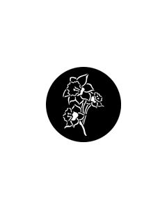 Standard Steel Gobo #77669 - Daffodil - Size E (37.5mm)
