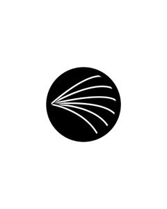 Standard Steel Gobo #71038 - Lines 2 - Size E (37.5mm)