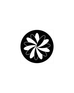 Standard Steel Gobo #74052 - Organic 2 - Size E (37.5mm)