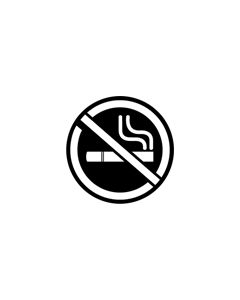 Standard Steel Gobo #76521 - No Smoking 2 - Size E (37.5mm)