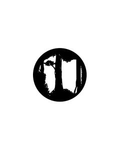 Standard Steel Gobo #77206 - Forest Floor - Size E (37.5mm)