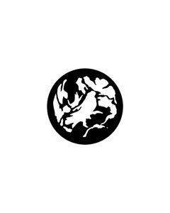 Standard Steel Gobo #77957 - Camouflage (Green) - Size E (37.5mm)