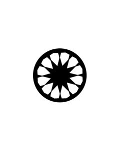 Standard Steel Gobo #77157 - Star B - Size E (37.5mm)