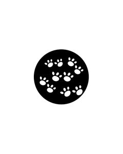 Standard Steel Gobo #77647 - Paws - Size E (37.5mm)