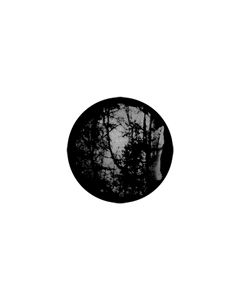 Standard Steel Gobo #77840 - Meshed Woodlands - Size B (86mm)