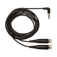 PA720 Input Cable - 10' (3 m)