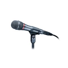 AE6100 Hypercardioid Dynamic Handheld Microphone